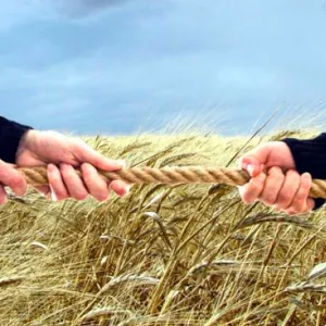​Рейдери захопили зерно німецького фермера в Україні