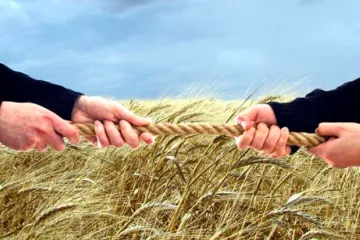 ​Рейдери захопили зерно німецького фермера в Україні