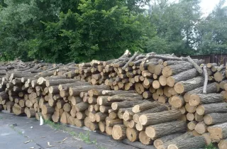 З України заборонили експортувати дрова, оскільки це основний ресурс для опалення, особливо на прифронтових територіях