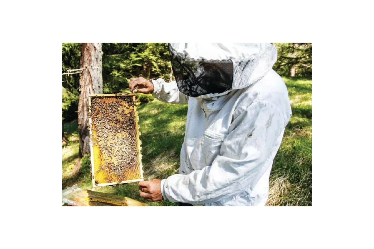Бджільництво – не місце для політичних баталій!