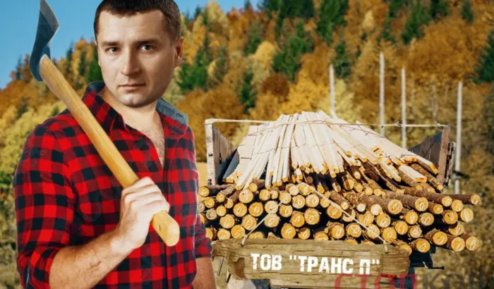 Збитки бюджету понад 160 млн: голова Держлісагентства Болоховець покриває розпродаж карпатського лісу?