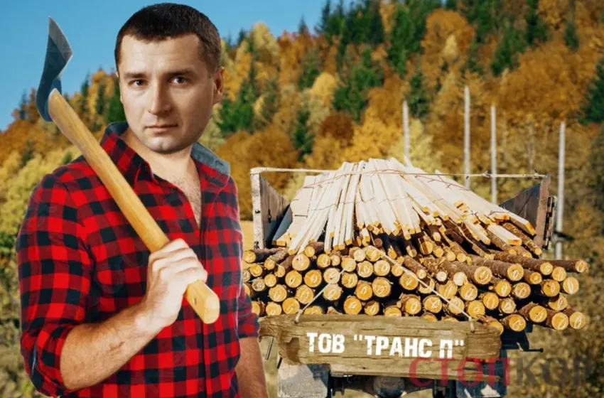 Збитки бюджету понад 160 млн: голова Держлісагентства Болоховець покриває розпродаж карпатського лісу?