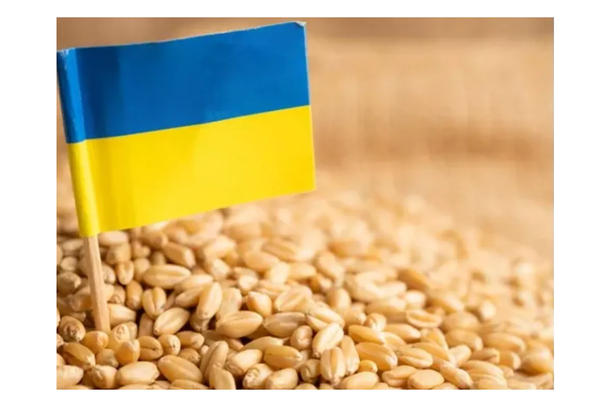 російські загарбники вкрали 3,7 млн тонн українського зерна на тимчасово окупованих територіях
