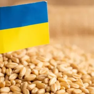 ​російські загарбники вкрали 3,7 млн тонн українського зерна на тимчасово окупованих територіях