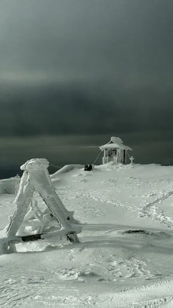 ​З'явилося фото справжньої «зими» у Карпатах