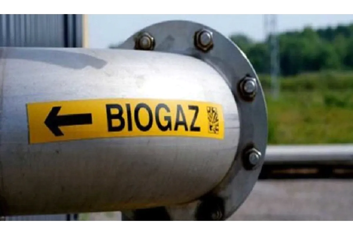 Бытовая биогазовая установка производительностью от 100 до 500 м куб газа изменит вашу жизнь к лучшему. Информация и контакты для заказов