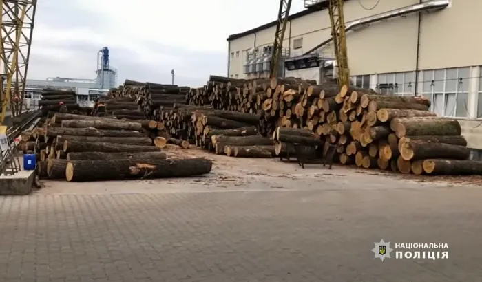 Махінації з лісопродукцією на понад 32 млн грн: правоохоронці повідомили про підозру 10 учасникам ОЗГ