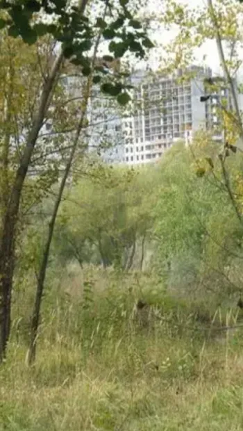 ​В Киеве захватили 375 гектаров заповедной земли на 2,5 миллиарда гривен