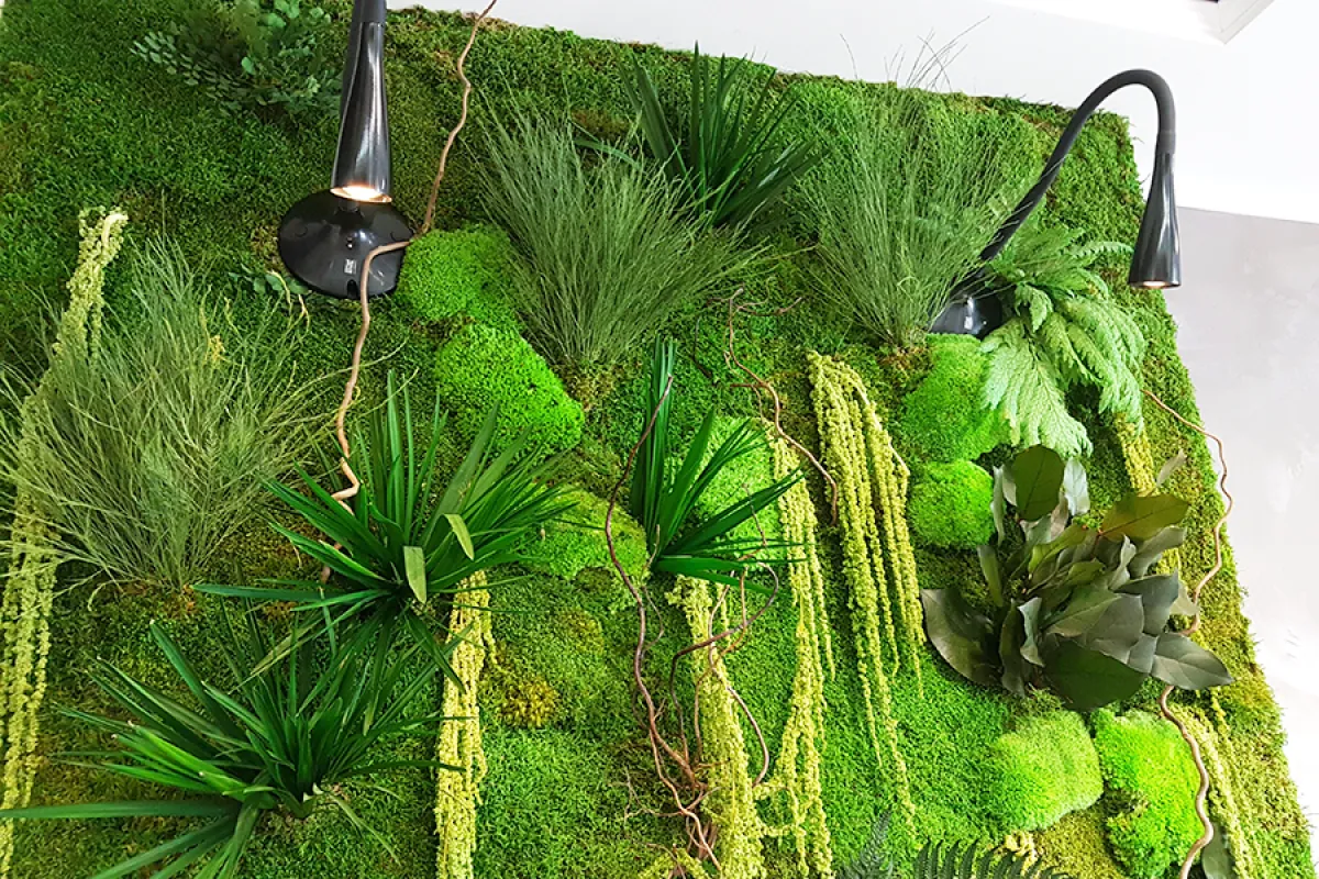 Неймовірні картини з моху: лучанка, яка створює дива!
