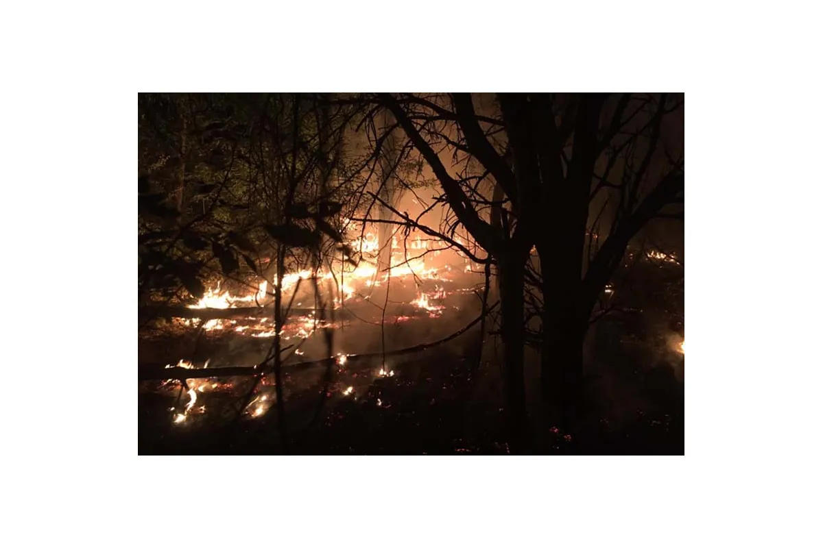 На Дніпропетровщині гасили пожежу, яка пошкодила 8 га лісу