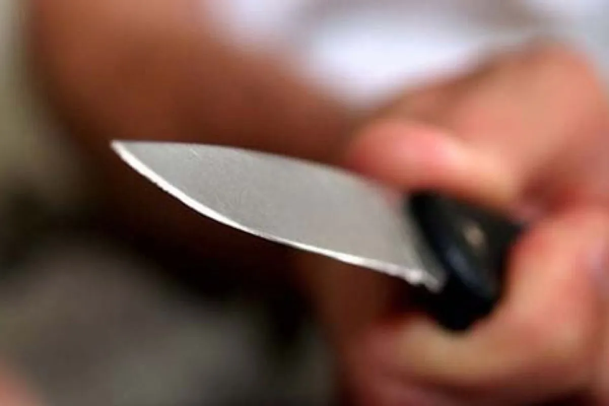 У Кам`янському затримали зловмисника, який завдав ножові поранення 12-річній дитині