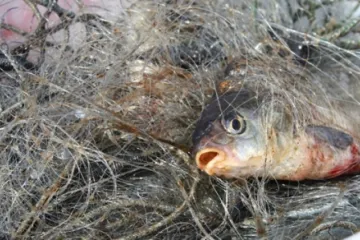​Рибоохоронний патруль Полтавщини викрив 13 порушень за шість днів роботи