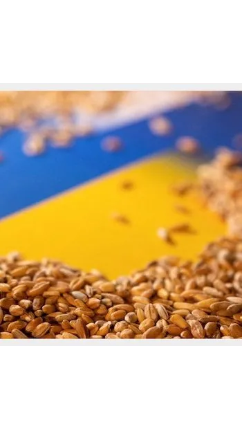​Україна передала посольству Польщі та представництву ЄС ноти щодо «категоричної неприйнятності» обмежень на імпорт української агропродукції