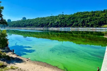​У держпродживслужбі повідомили, що у зеленому Дніпрі купатися в жодному разі не рекомендують