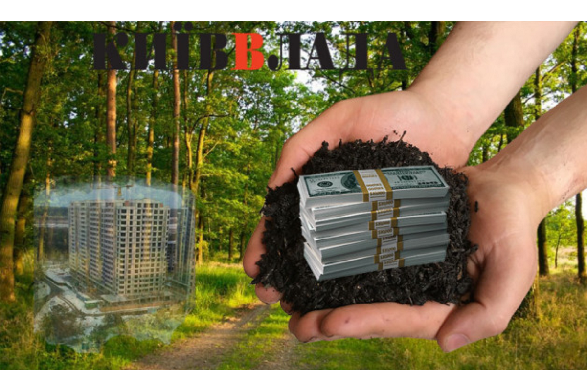 Корупційні схеми: на Ірпінщині розслідують розкрадання лісових угідь Корупційні схеми: на Ірпінщині розслідують розкрадання лісових угідь