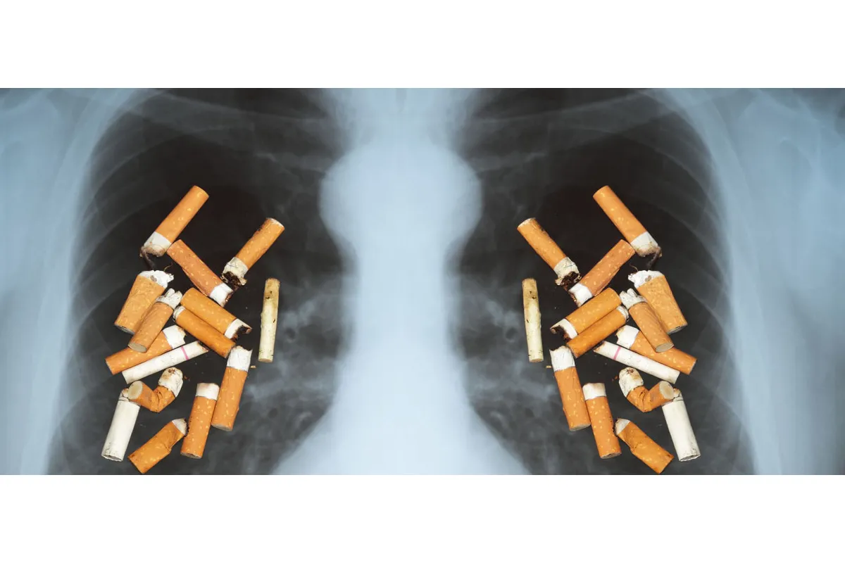 Соціальна проблема: цікаві факти про куріння та його вплив на здоров’я