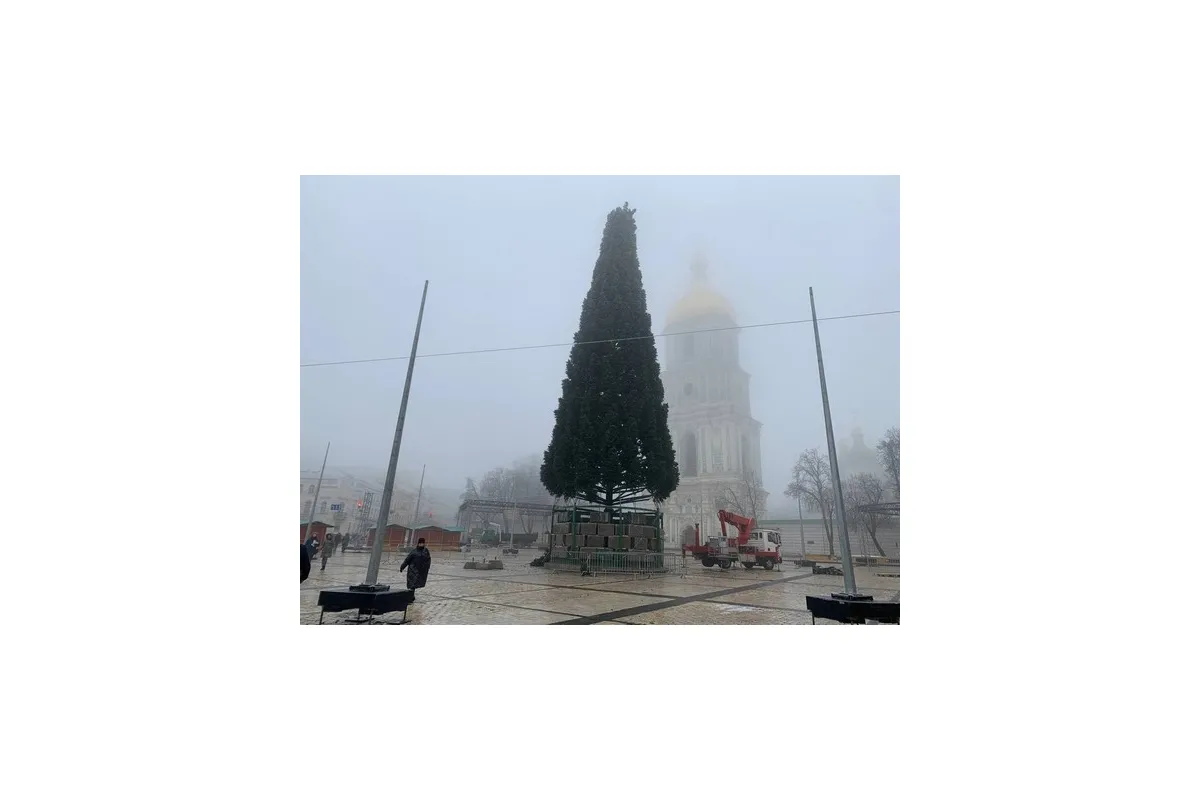 У Києві встановлять новорічну ялинку, без святкової ілюмінації та за кошти меценатів