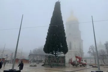 ​У Києві встановлять новорічну ялинку, без святкової ілюмінації та за кошти меценатів