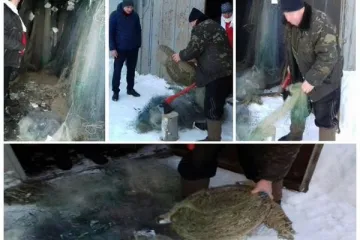 ​З початку року знищено 1 148 заборонених знарядь лову, - Чернігівський рибоохоронний патруль