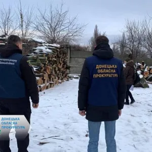 ​Вирубали на 1,2 млн грн - на Донеччині судитимуть організовану групу «чорних» лісорубів