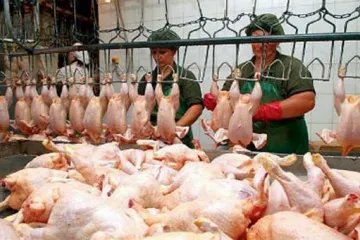 ​Підписана угода з ЄС про збільшення квот для українських експортерів м'яса птиці