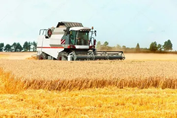 ​Жнива-2019: В Україні зібрано майже 40 млн тонн зерна