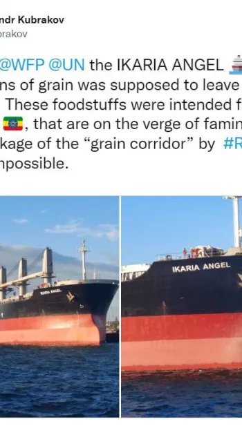 ​Україна вимушено призупинила експорт зерна з морських портів