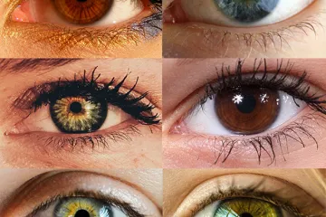 ​Що розкаже про ваш характер колір очей?