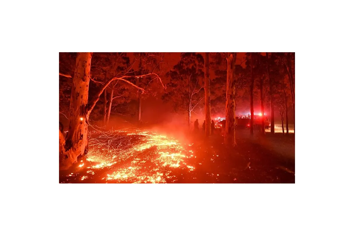   			Пожары в Австралии замкнулись в заколдованный круг: свежие фото и видео огненного ада		