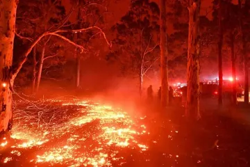 ​  			Пожары в Австралии замкнулись в заколдованный круг: свежие фото и видео огненного ада		