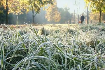 ​  			В Україну йдуть заморозки: де буде найхолодніше		