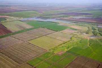 ​  			В Киевской области с помощью ветеранов АТО украли 323 гектара земли		