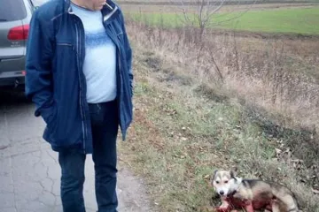​  			Директора облархива Байдича уволили с выговором после инцидента с собакой		