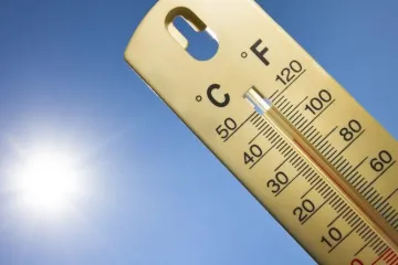 ​Во Франции жара установила абсолютный исторический рекорд – 44,3 градуса