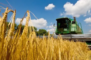 ​  			Украина стала мировым лидером по темпам роста агроэкспорта в ЕС		