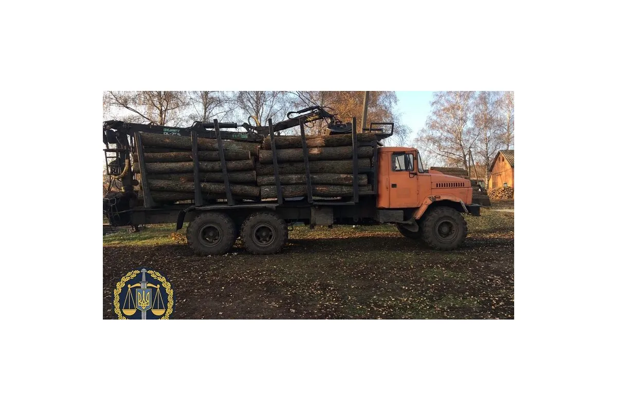 Под Харьковом лесники незаконно спилили 18 тысяч деревьев на 100 миллионов гривен – прокуратура