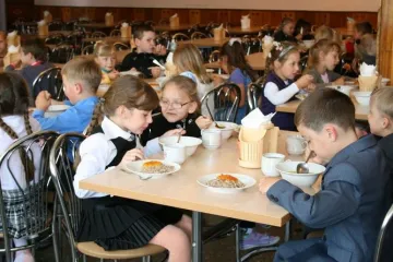 ​  			Сомнительная компания опять выиграла тендер и будет кормить школьников в Киевской области		