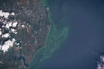 ​  			Цветущее Черное море у берегов Одессы показали из космоса (ФОТО)		
