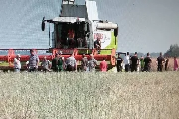 ​  			Рапсовый скандал в Подольске: спустя год рейдеры не собираются возвращать землю фермерам		
