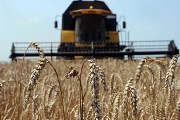 ​  			Аграрная сверхдержава. Более 20% экспорта Украины пришлось на долю всего трех товаров		