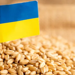​Угорщина попросила Європейський Союз продовжити обмеження на імпорт українських зернових і олійних культур до кінця 2023 року