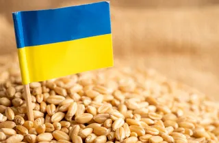 Угорщина попросила Європейський Союз продовжити обмеження на імпорт українських зернових і олійних культур до кінця 2023 року