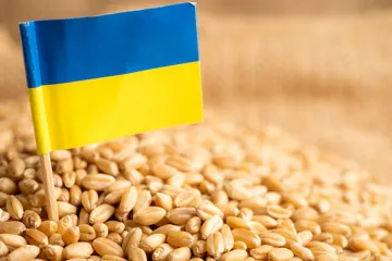​Угорщина попросила Європейський Союз продовжити обмеження на імпорт українських зернових і олійних культур до кінця 2023 року