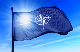 Представники держав-членів НАТО підтримають Україну в гуманітарному розмінуванні