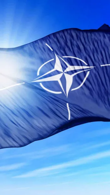 ​Представники держав-членів НАТО підтримають Україну в гуманітарному розмінуванні