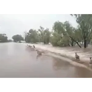 ​В Австралії — найсильніша повінь за всю історію спостережень
