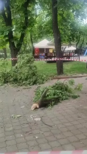 ​Кличко показав кадри наслідків падіння уламків у київському зоопарку