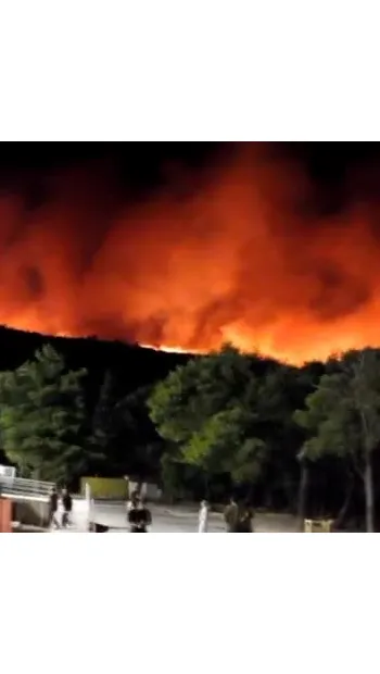 ​Через аномальну спеку лісові пожежі охопили десятки тисяч гектарів землі у Франції, Греції, Іспанії і Португалії